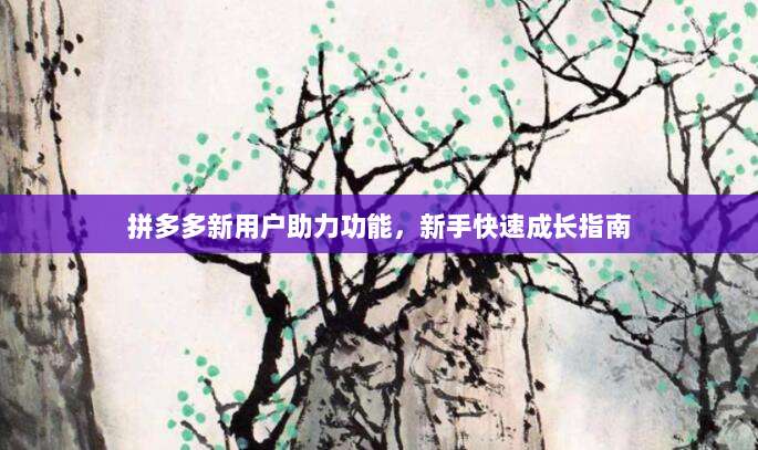 拼多多新用户助力功能，新手快速成长指南