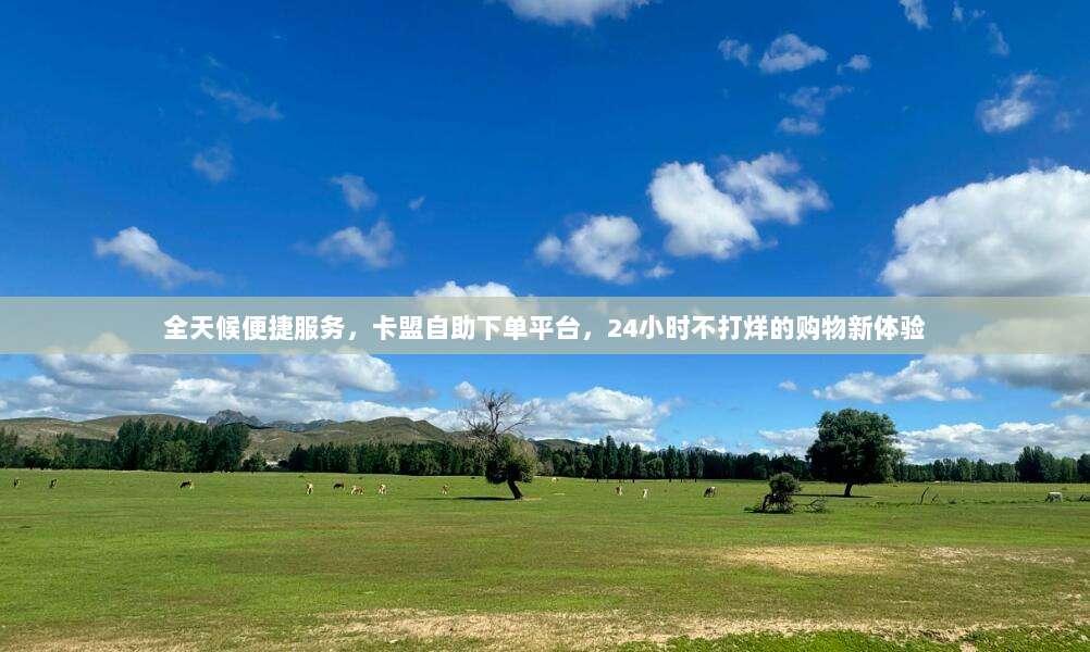 全天候便捷服务，卡盟自助下单平台，24小时不打烊的购物新体验