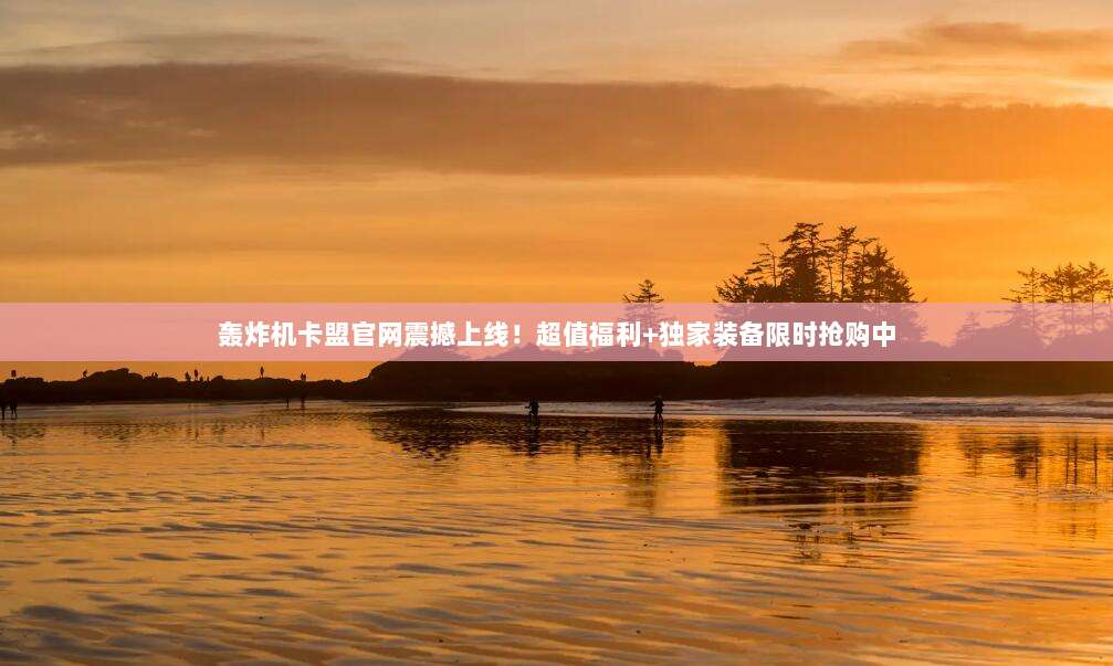 轰炸机卡盟官网震撼上线！超值福利+独家装备限时抢购中