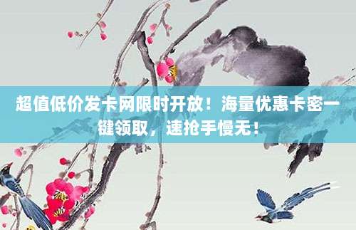 超值低价发卡网限时开放！海量优惠卡密一键领取，速抢手慢无！