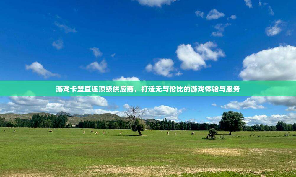 游戏卡盟直连顶级供应商，打造无与伦比的游戏体验与服务
