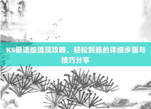 KS极速版提现攻略，轻松到账的详细步骤与技巧分享