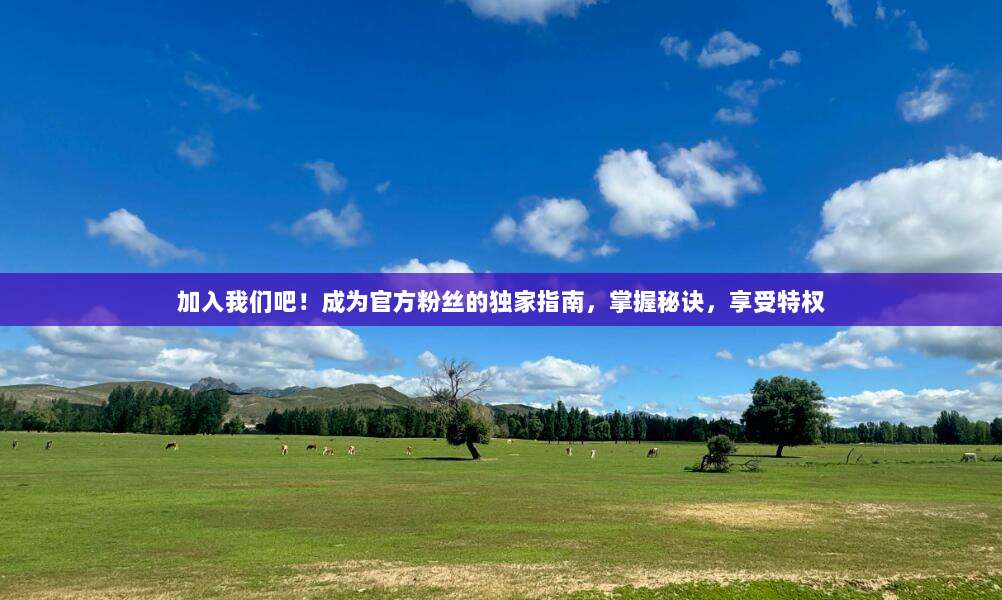 加入我们吧!成为官方粉丝的独家指南,掌握秘诀,享受特权