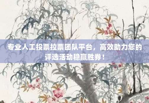 专业人工投票拉票团队平台，高效助力您的评选活动稳赢胜券！