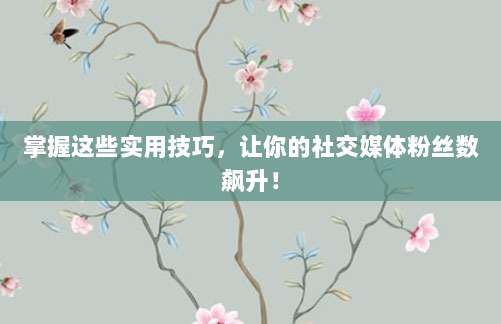 掌握这些实用技巧,让你的社交媒体粉丝数飙升!