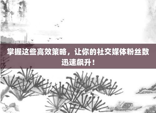 掌握这些高效策略,让你的社交媒体粉丝数迅速飙升!