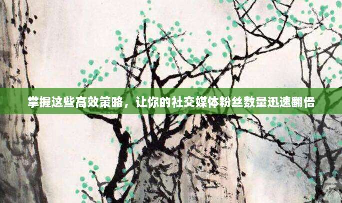 掌握这些高效策略,让你的社交媒体粉丝数量迅速翻倍
