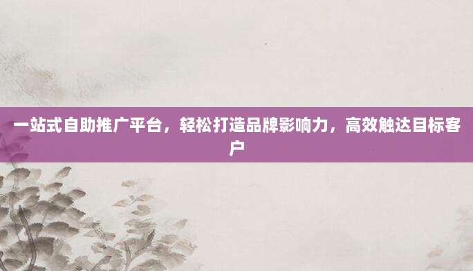 一站式自助推广平台,轻松打造品牌影响力,高效触达目标客户