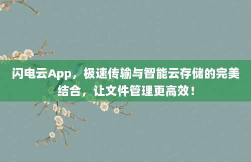 闪电云App,极速传输与智能云存储的完美结合,让文件管理更高效!