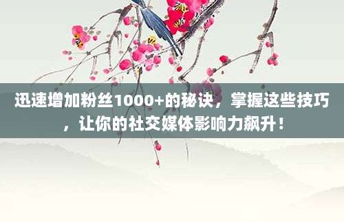迅速增加粉丝1000+的秘诀,掌握这些技巧,让你的社交媒体影响力飙升!