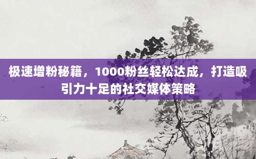 极速增粉秘籍,1000粉丝轻松达成,打造吸引力十足的社交媒体策略