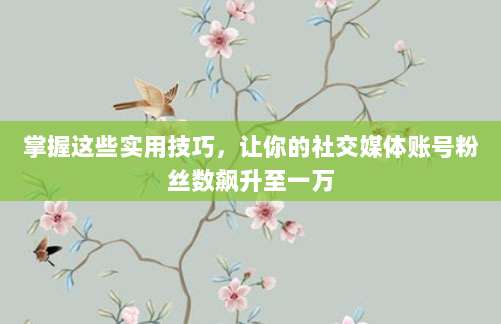掌握这些实用技巧,让你的社交媒体账号粉丝数飙升至一万
