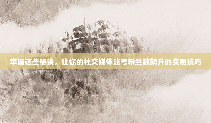 掌握这些秘诀,让你的社交媒体账号粉丝数飙升的实用技巧