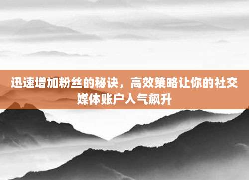 迅速增加粉丝的秘诀,高效策略让你的社交媒体账户人气飙升