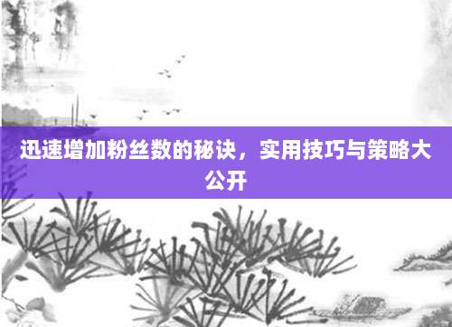 迅速增加粉丝数的秘诀,实用技巧与策略大公开