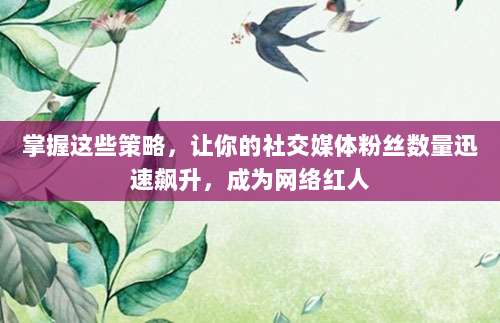 掌握这些策略，让你的社交媒体粉丝数量迅速飙升，成为网络红人