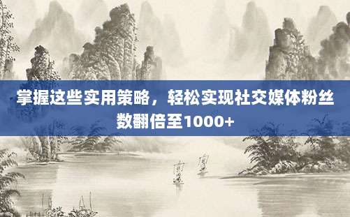 掌握这些实用策略,轻松实现社交媒体粉丝数翻倍至1000+