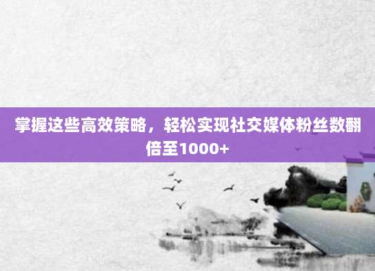 掌握这些高效策略,轻松实现社交媒体粉丝数翻倍至1000+