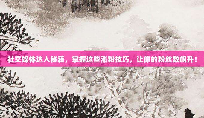 社交媒体达人秘籍，掌握这些涨粉技巧，让你的粉丝数飙升！