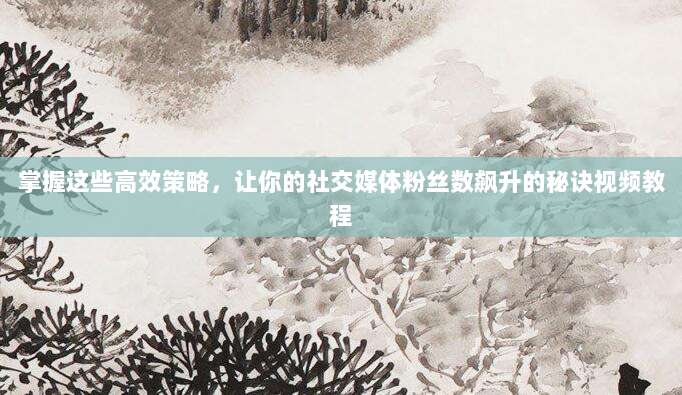 掌握这些高效策略，让你的社交媒体粉丝数飙升的秘诀视频教程