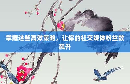 掌握这些高效策略，让你的社交媒体粉丝数飙升