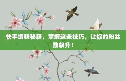 快手增粉秘籍,掌握这些技巧,让你的粉丝数飙升!