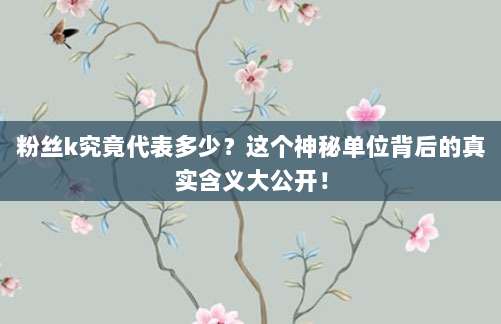 粉丝k究竟代表多少？这个神秘单位背后的真实含义大公开！