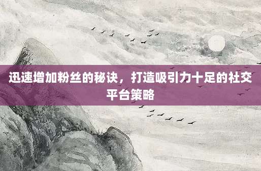 迅速增加粉丝的秘诀,打造吸引力十足的社交平台策略