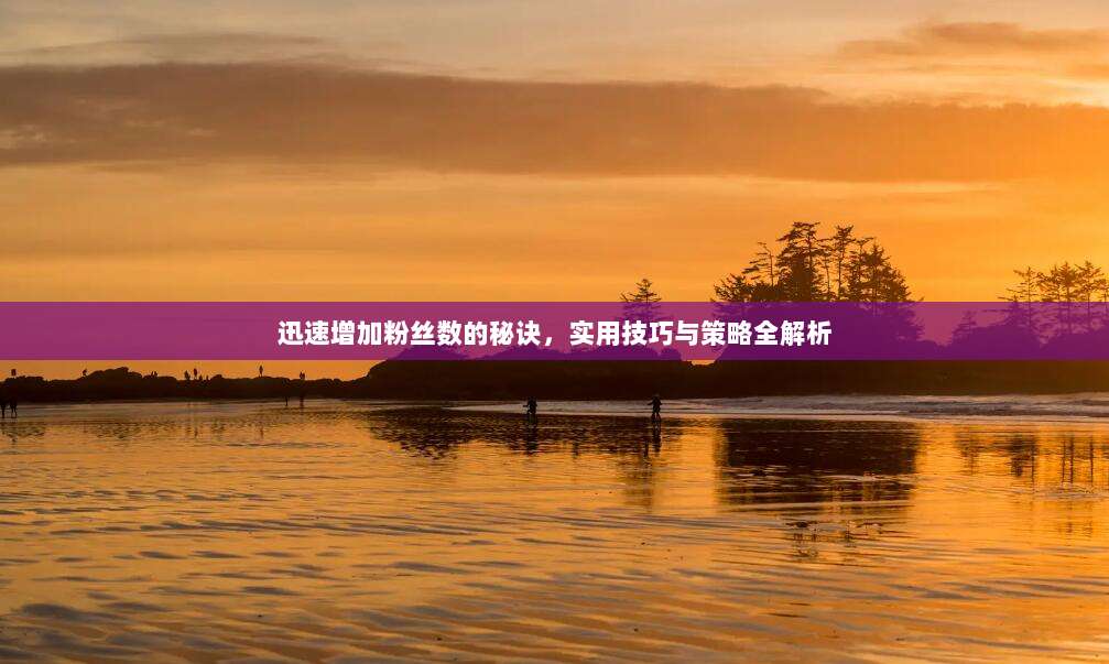 迅速增加粉丝数的秘诀,实用技巧与策略全解析