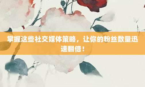 掌握这些社交媒体策略，让你的粉丝数量迅速翻倍！