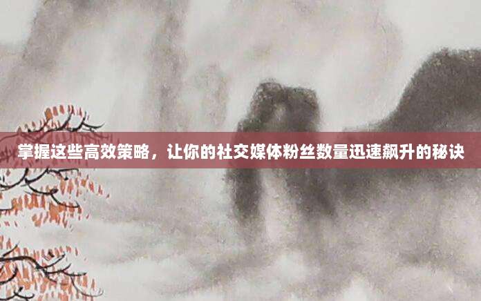 掌握这些高效策略,让你的社交媒体粉丝数量迅速飙升的秘诀
