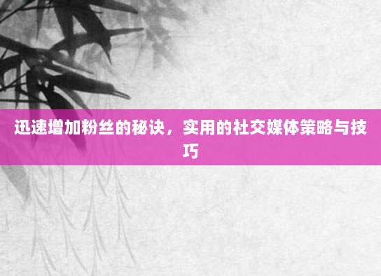 迅速增加粉丝的秘诀，实用的社交媒体策略与技巧