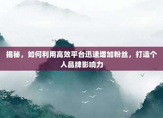 揭秘,如何利用高效平台迅速增加粉丝,打造个人品牌影响力