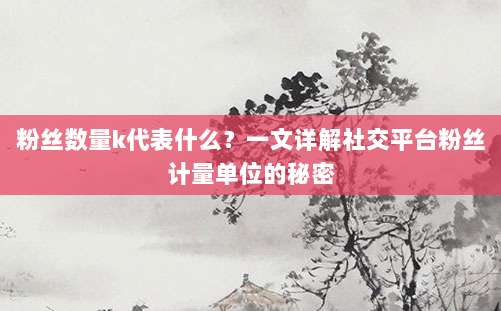 粉丝数量k代表什么？一文详解社交平台粉丝计量单位的秘密