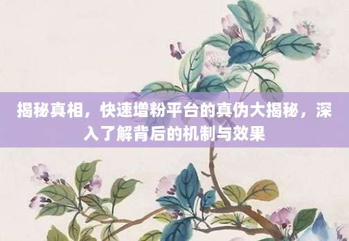 揭秘真相，快速增粉平台的真伪大揭秘，深入了解背后的机制与效果