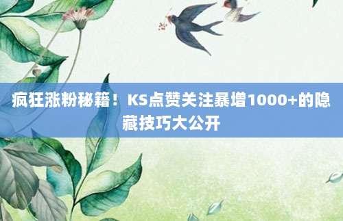 疯狂涨粉秘籍!KS点赞关注暴增1000+的隐藏技巧大公开
