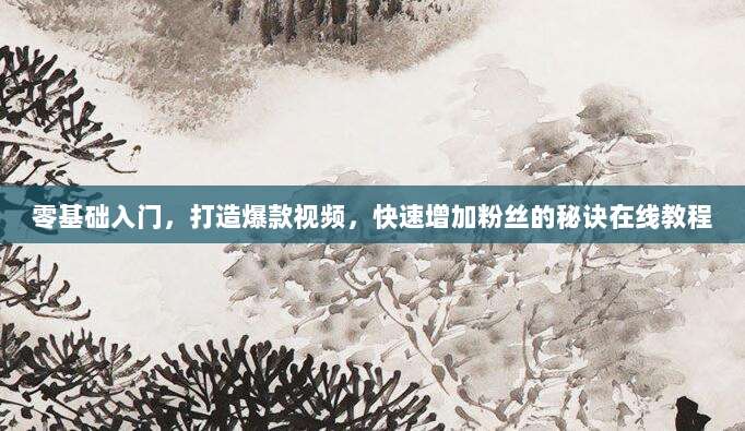 零基础入门，打造爆款视频，快速增加粉丝的秘诀在线教程