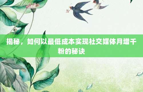 揭秘,如何以最低成本实现社交媒体月增千粉的秘诀