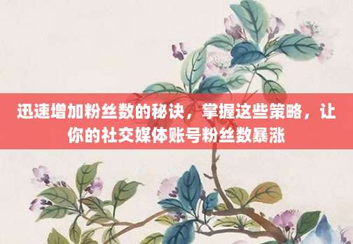 迅速增加粉丝数的秘诀，掌握这些策略，让你的社交媒体账号粉丝数暴涨