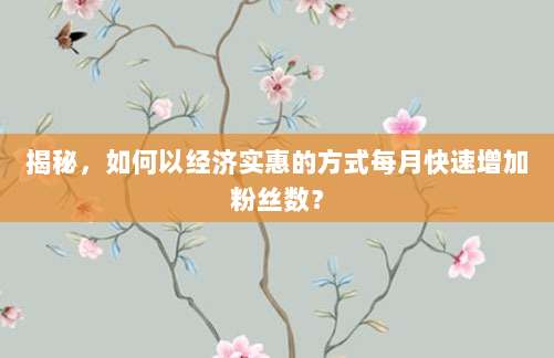 揭秘，如何以经济实惠的方式每月快速增加粉丝数？