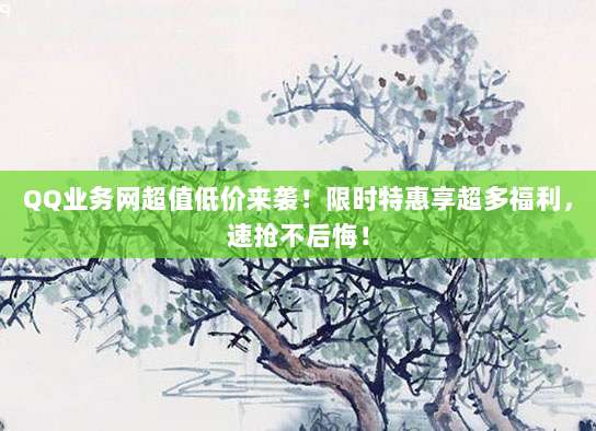 QQ业务网超值低价来袭！限时特惠享超多福利，速抢不后悔！