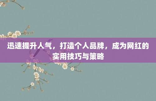 迅速提升人气，打造个人品牌，成为网红的实用技巧与策略