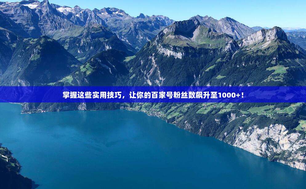 掌握这些实用技巧，让你的百家号粉丝数飙升至1000+！