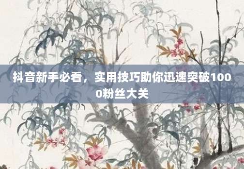 抖音新手必看，实用技巧助你迅速突破1000粉丝大关