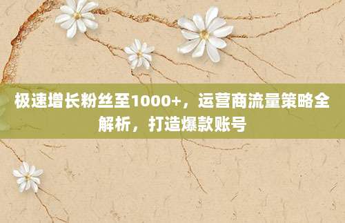 极速增长粉丝至1000+，运营商流量策略全解析，打造爆款账号
