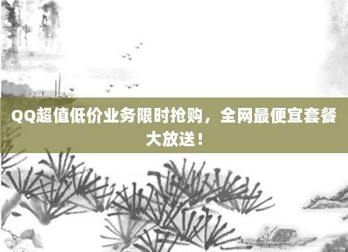 QQ超值低价业务限时抢购，全网最便宜套餐大放送！