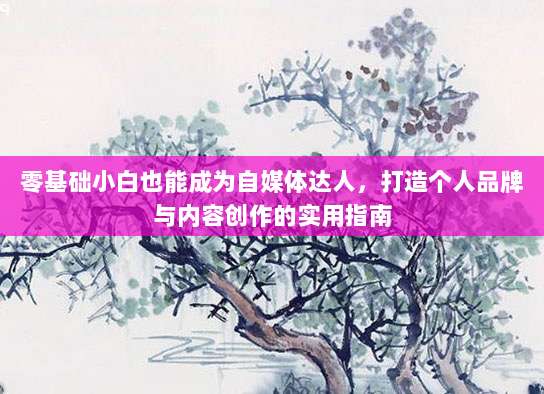 零基础小白也能成为自媒体达人，打造个人品牌与内容创作的实用指南