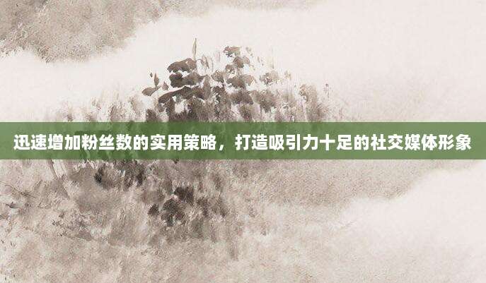 迅速增加粉丝数的实用策略,打造吸引力十足的社交媒体形象