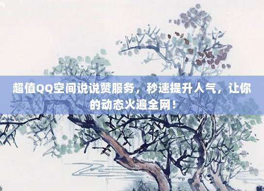 超值QQ空间说说赞服务，秒速提升人气，让你的动态火遍全网！