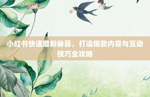 小红书快速增粉秘籍,打造爆款内容与互动技巧全攻略